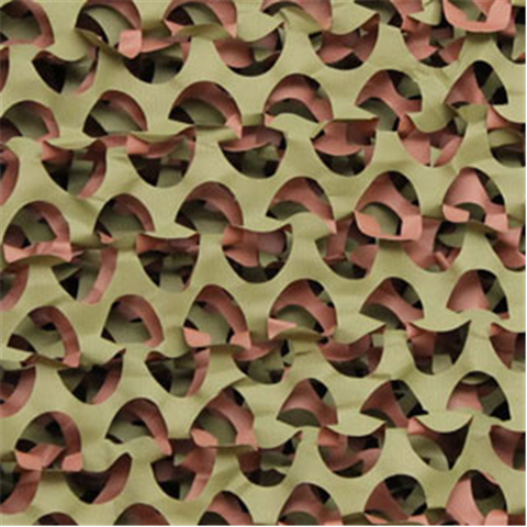 Basic Netting