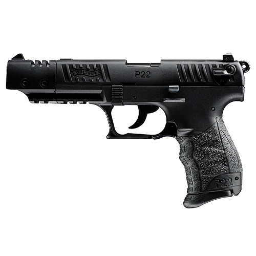 P22 Target