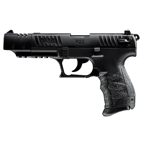 P22 Target
