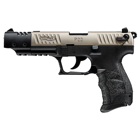P22 Target